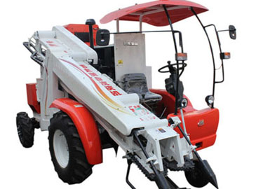 Peanut machinery promotes the development and progress of peanut processing industry