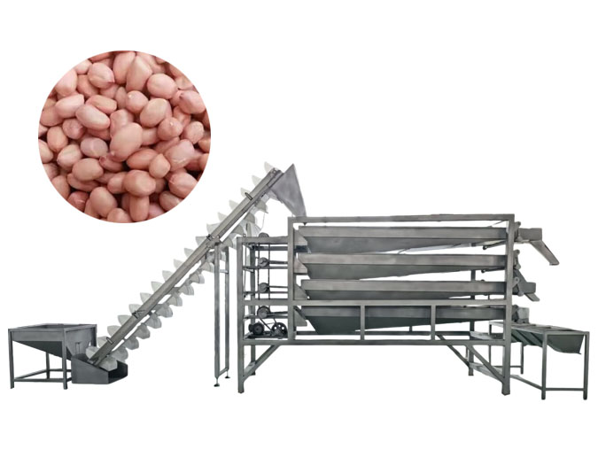 Peanut sieving machine