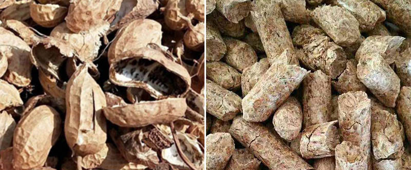 Biomass fuel