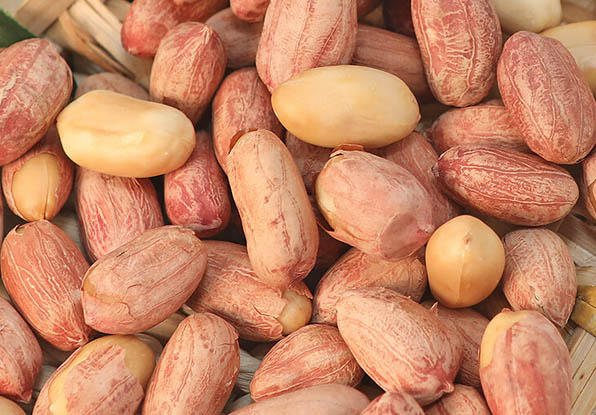 Roasted peanut