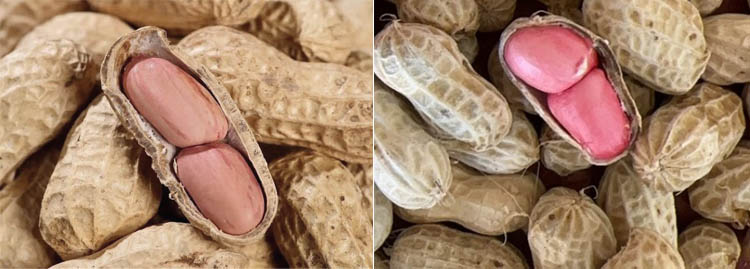 Peanuts