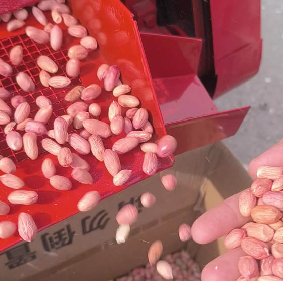 Peanuts shelling